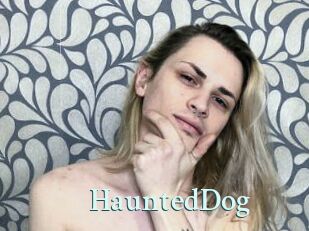 HauntedDog