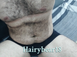 Hairybear18