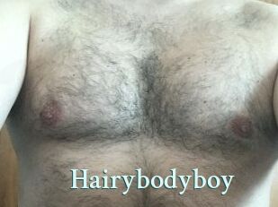Hairybodyboy