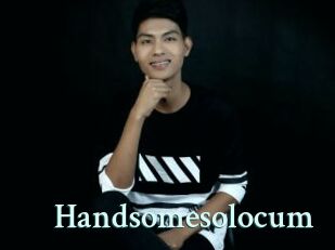 Handsomesolocum