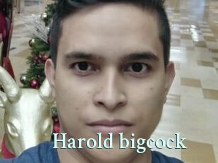 Harold_bigcock
