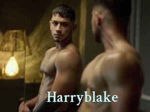 Harryblake