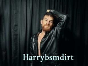 Harrybsmdirt
