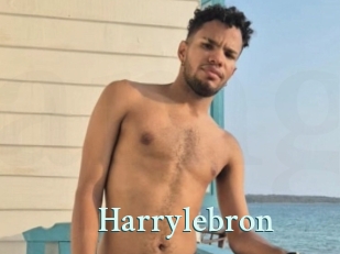 Harrylebron