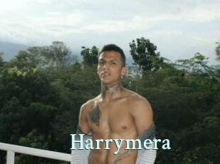 Harrymera