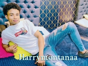 Harrymontanaa