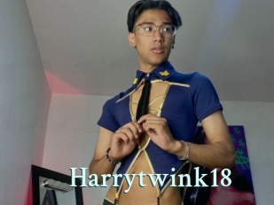 harrytwink18 Ambiance Gay