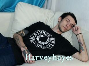 Harveyhayes