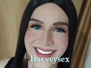 harveysex Ambiance Gay
