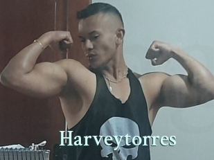 Harveytorres