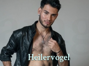 Heilervogel