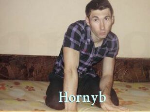 Hornyb