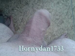 Hornydan1733