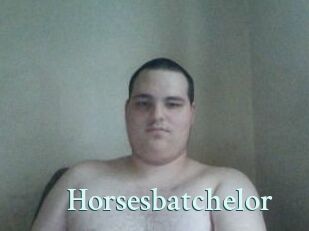 Horsesbatchelor