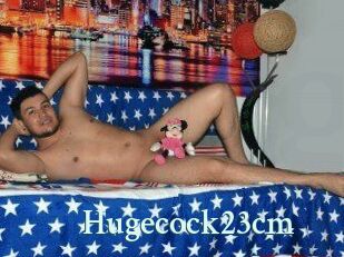 Hugecock23cm