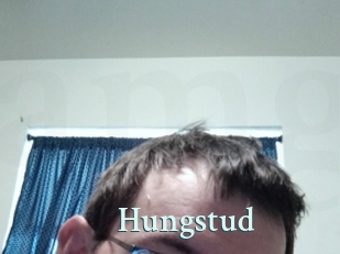 Hungstud