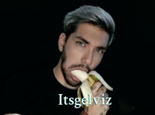 Itsgelviz