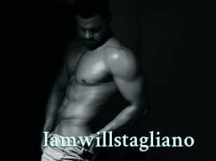 iamwillstagliano Ambiance Gay