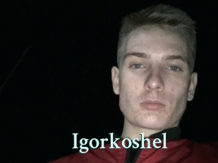 Igorkoshel