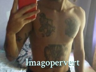 imagopervert Ambiance Gay