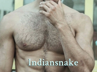 Indiansnake