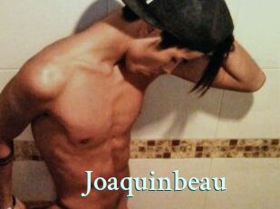 Joaquinbeau Ambiance Gay