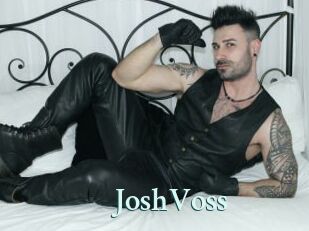 JoshVoss