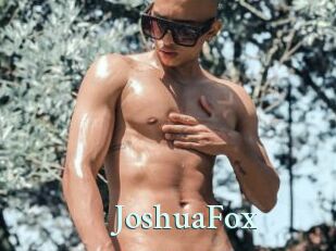 JoshuaFox