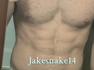 Jakesnake14