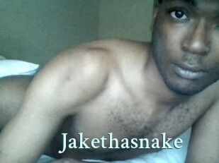 Jake_tha_snake