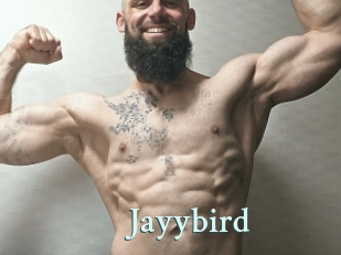 Jayybird