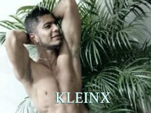 KLEINX