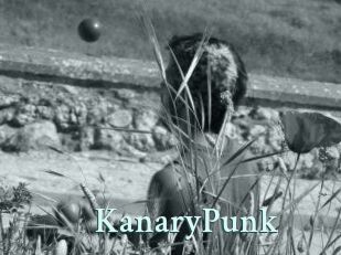 KanaryPunk