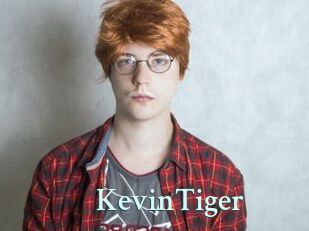 KevinTiger
