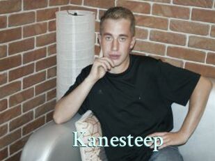 Kanesteep