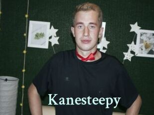 Kanesteepy