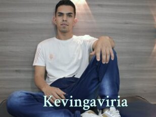 Kevingaviria