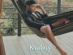 koiboy Ambiance Gay