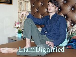 LiamDignified
