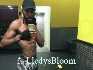 Lledys_Bloom
