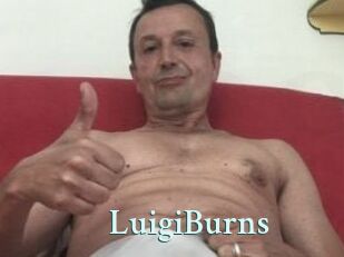 LuigiBurns