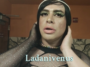Ladanivenus