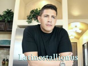 Latinostallionus