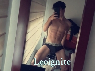 Leoignite