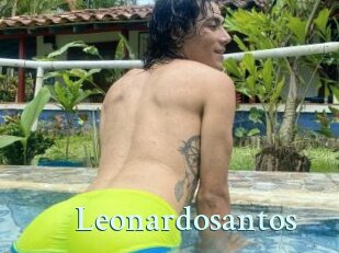 Leonardosantos