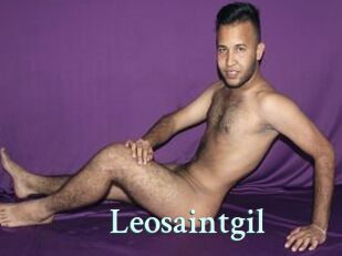 Leosaintgil