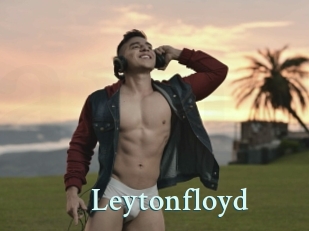 leytonfloyd Ambiance Gay