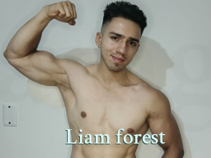 Liam_forest