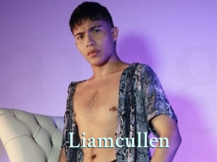 liamcullen Ambiance Gay