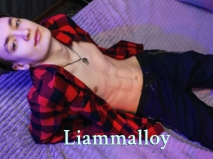 Liammalloy